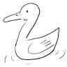 duck