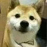 Fuyizeyi