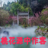 桃源客886