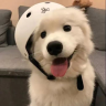 夏天の风