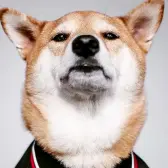 小鹏