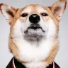 小鹏