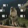 神秘的实验室