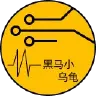 黑马小乌龟