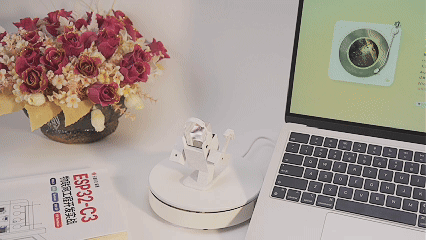 全屋智能DIY入门之ESP32C3开发套装.gif