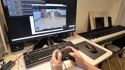 8月9日(4).gif
