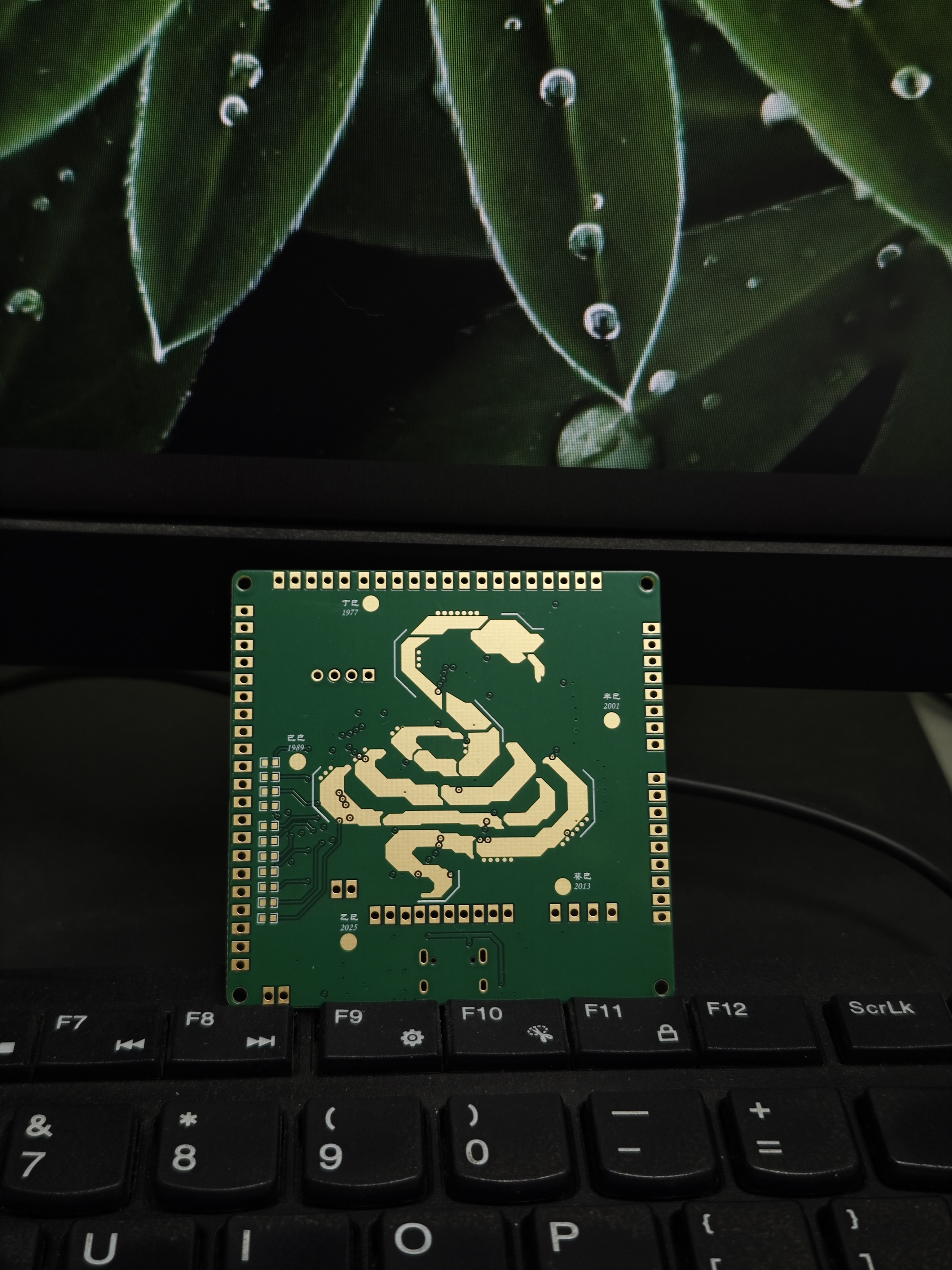 pcb1.jpg