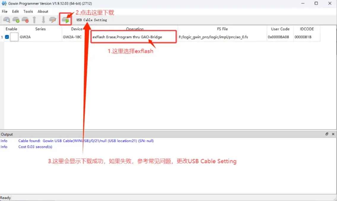 Gowin Programmer 下载 FPGA 截图