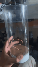 video.gif