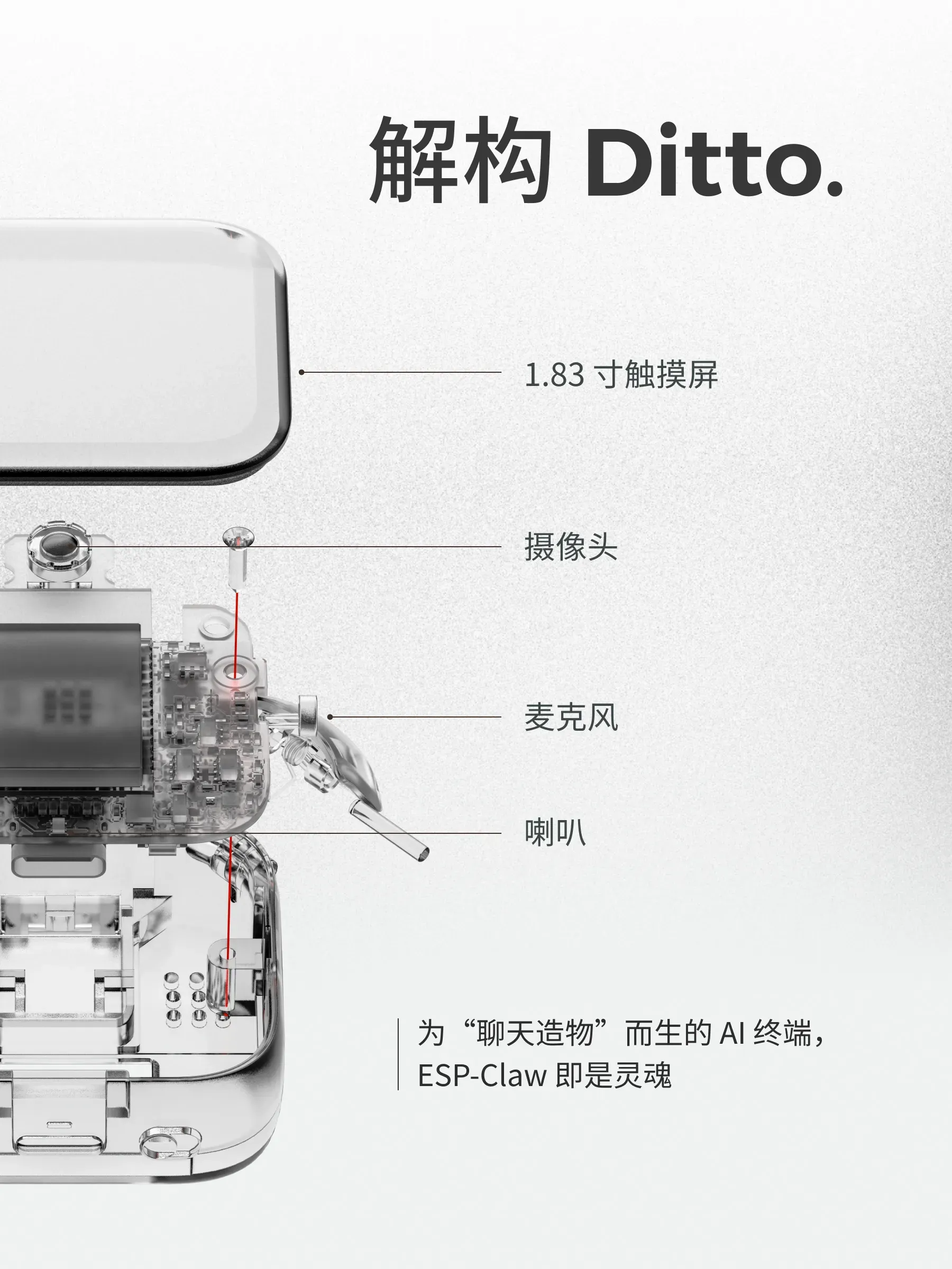 解析 Ditto