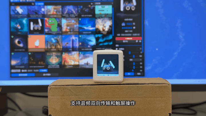 小猫2.gif