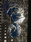 IMG_7683.gif
