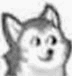TIM图片20200507041423.gif