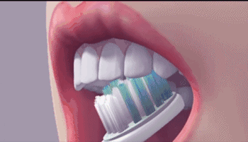 5.gif