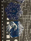 IMG_7684.gif