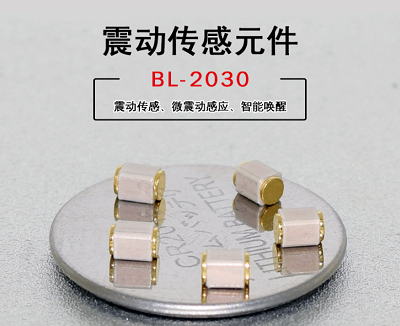 BL2030.png