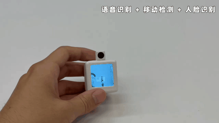 人脸检测.gif